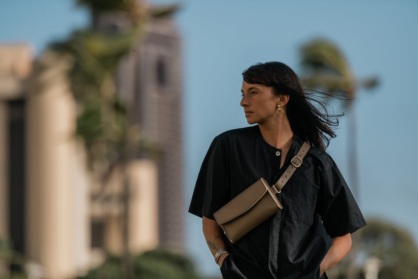 Solar Waist Bag